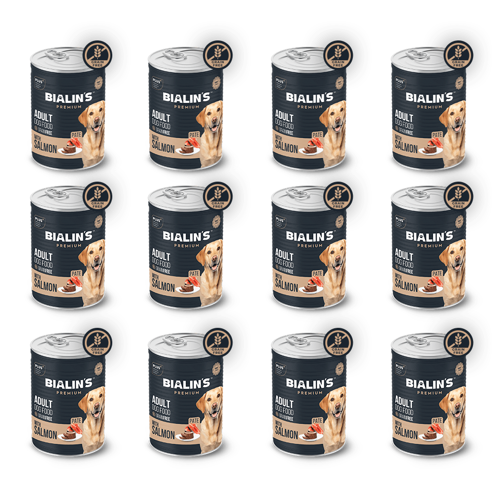 12'li Yetişkin Köpek Maması -Somonlu 400 Gram 