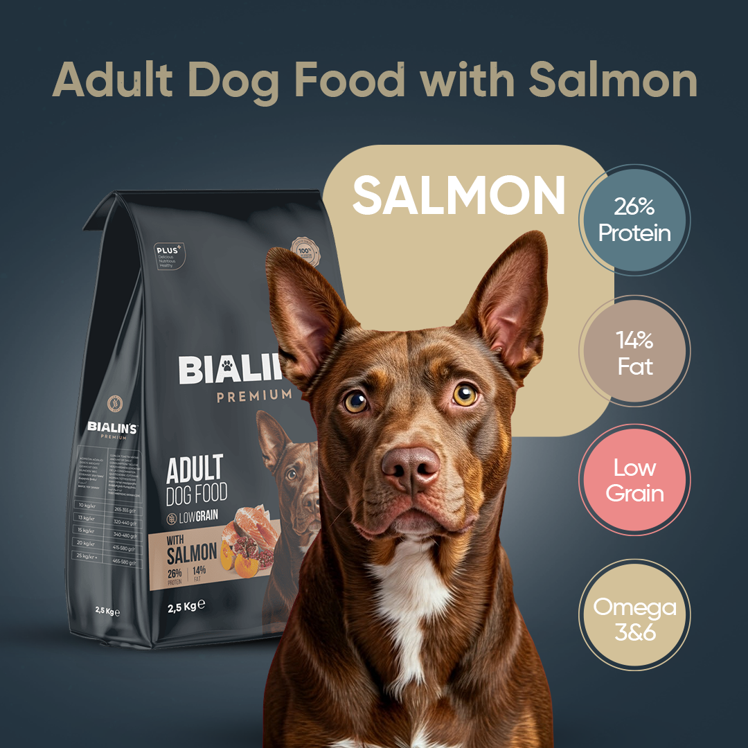 Bialins Premium Yetişkin Köpek Maması Somonlu 2.5kg