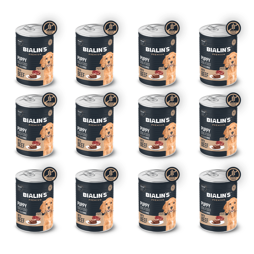 12'li Yavru Köpek Maması - Somonlu 400 Gram