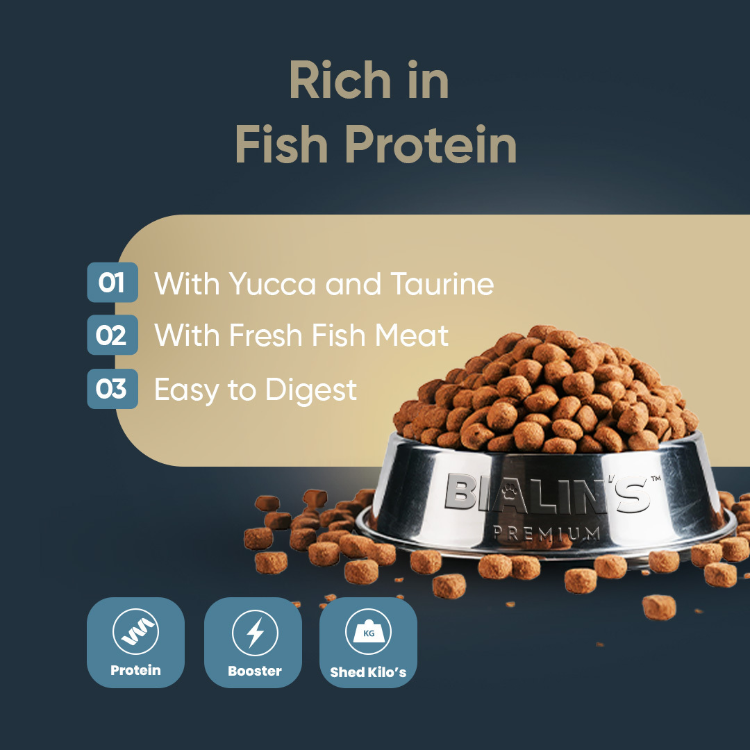 Bialins Premium Yetişkin Kedi Maması Balıklı 3kg