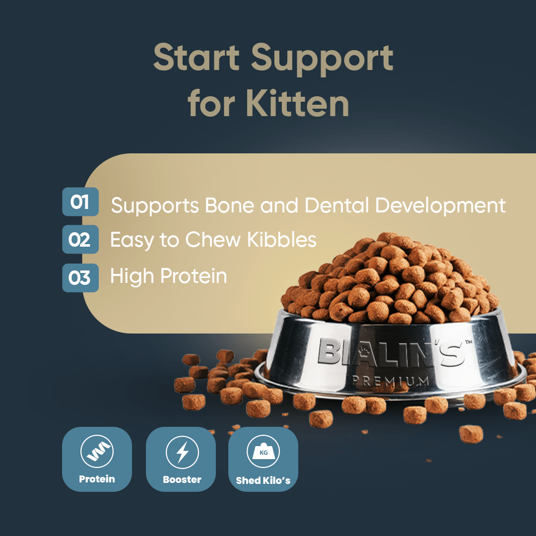 Bialins Premium Yavru Kedi Tavuklu 10kg